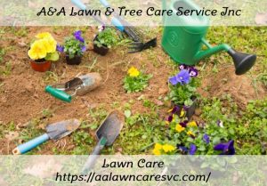 Affordable Lawn Care in Port St Lucie FL